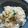 komamao's cooksnap of when they made 朝食に!簡単おでんの残り汁でおじや.