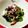 たかくん4歳's cooksnap of when they made すし酢を使って☆わかめときゅうりの酢の物.