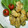 モグモグあっこ's cooksnap of when they made 簡単牡蠣のふわふわバターソテー.