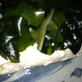 ま～たんみ～たん's cooksnap of when they made 豆腐とわかめのヘルシーサラダ.
