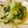 るかrin's cooksnap of when they made うまうま青梗菜炒め.