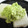 kyon510's cooksnap of when they made 大好き和スイーツ♪ずんだもち*.