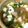 みほきち。's cooksnap of when they made 豆腐とベーコン、菜っ葉の柔らか煮.