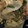 にゃっぷらぷー's cooksnap of when they made 中華風鶏野菜炒め.
