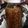 ぱれっト's cooksnap of when they made 食べる生姜＊食べショー.
