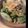 はらぺこごはん's cooksnap of when they made セロリだけで簡単炒め♪.