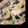 amo♥♥'s cooksnap of when they made 簡単 ♥ 中華スープ.