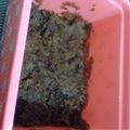 りーなん♩'s cooksnap of when they made ダイエット！おからのココアシナモンケーキ.