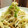 花と樹のまま's cooksnap of when they made 簡単☆もやしとネギの青いところ炒め.