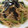 トロトトロ's cooksnap of when they made 小松菜としめじとちりめんの和風パスタ.