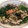 すのう★'s cooksnap of when they made ルクエ＊鮭ときのこ蒸し。.