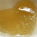 やったった's cooksnap of when they made すっぱ～(^｡^）はちみつレモンゼリー.