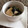 桜井凛子's cooksnap of when they made 小松菜と油揚げの煮びたし.