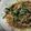 クックSUMBH2☆'s cooksnap of when they made 簡単♪鯖缶でもやし炒め.