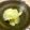 Haru Haru's cooksnap of when they made はやとうり塩麹漬け.