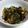 ありっさ・さぶれ's cooksnap of when they made 茄子の香味醤油がけ.