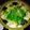 halulun3's cooksnap of when they made 水炊き鍋.