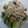 chokomashu's cooksnap of when they made ✿ちくわとハムの大根サラダ✿.