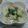 あンちゃン's cooksnap of when they made ღカリカリきゅうりのツナサラダღ.