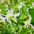 6mori's cooksnap of when they made ししとうとじゃこの炊いたん.