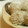 こつぶっち's cooksnap of when they made もち米の焼売.