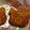 ma___111's cooksnap of when they made 湯せんでしっとり☆かぼちゃパウンドケーキ.