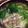にしだぁ's cooksnap of when they made 鶏肉がやわらか〜い^ ^塩麹鍋.