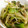 umemodoki's cooksnap of when they made べたっとしない野菜炒め.
