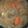 あんずはな's cooksnap of when they made うまうま豚汁♪.