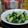 Hemerocallis's cooksnap of when they made 簡単♪中華風きゅうりの浅漬け.