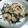 ちかックス's cooksnap of when they made 新生姜とシーチキンの炊き込み御飯♪.