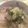 kiyo0120's cooksnap of when they made 〆まで旨い！飽きない！水炊き鍋*.