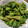 マキマキ913's cooksnap of when they made 菜花の簡単胡麻和え.