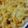 かなちょろ♡♡'s cooksnap of when they made ✿うどんのミートグラタン✿.