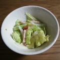 アリスとゆうこ's cooksnap of when they made 白菜とベーコン＋αサラダ.