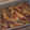 みやっちゅ's cooksnap of when they made 小あじの南蛮漬.