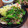 ひっこ's cooksnap of when they made 豚肉とセリの塩炒め.