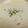 olivia206's cooksnap of when they made 余った生クリームで中華スープ.