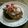 中村家の末っ子ちゃん's cooksnap of when they made 大根おろしのお豆腐ハンバーグ.