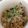 ぽっさき's cooksnap of when they made 切干大根の梅肉和え.