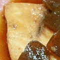 まゆえつ's cooksnap of when they made めかじきの煮付け.