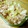 れこモン's cooksnap of when they made 即席５分！セロリとツナの和え物.