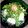 てけめけ's cooksnap of when they made 豆腐と白髪ねぎのサラダ.