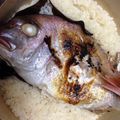 ももっちゃん15's cooksnap of when they made もうお店でたのまない！ルクルーゼで鯛飯☆.