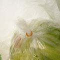 かりあん's cooksnap of when they made レタス　簡単　保存方法.