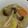 ささらんらん's cooksnap of when they made 具だくさん中華風？お味噌汁.