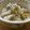 ｊｏｃｏｍｏｍｏｌａ's cooksnap of when they made あっという間に甘～い栗ご飯.