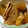 Gargantua's cooksnap of when they made じんわりあったか♪大根とイカのわた煮☆.