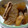 Gargantua's cooksnap of when they made いかと大根の韓国風煮物.