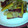 はっちゃん823's cooksnap of when they made さつまいもと豚肉炒め.